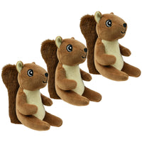 Brown Squirrel 3