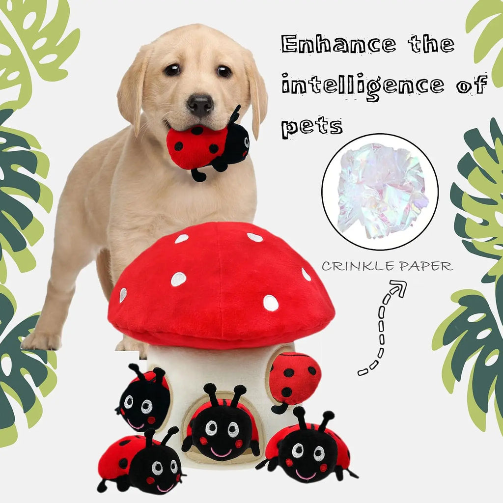 Peluche Champignon Rouge Cache-Cache – Maison Remplie de Mini Coccinelles